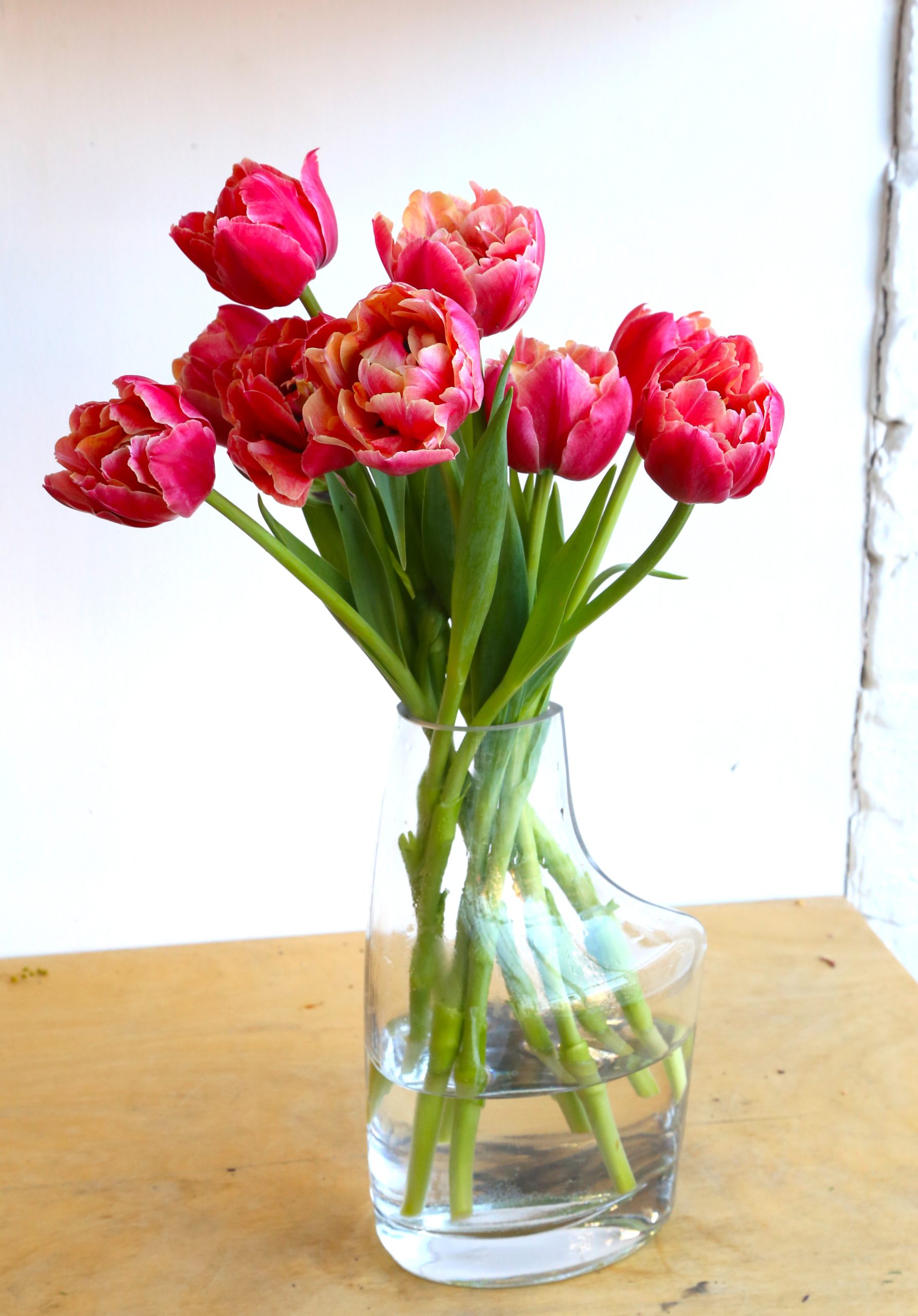 The Local Tulips - Image 2