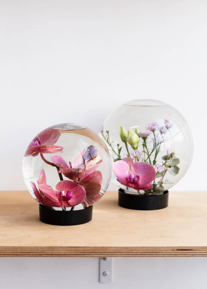 The Flower Aquarium - Image 2