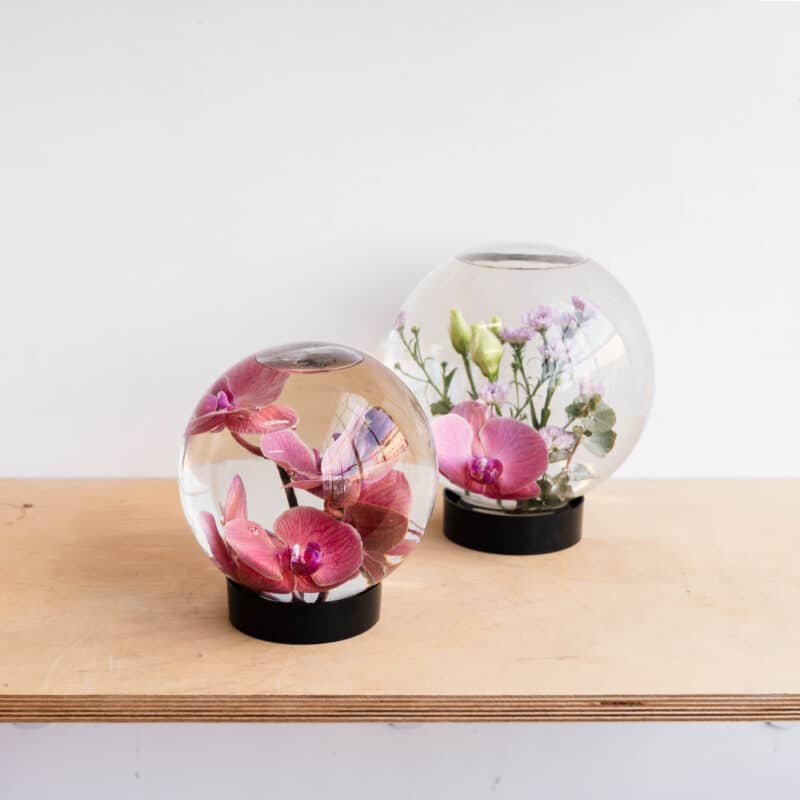 The Flower Aquarium - Image 4