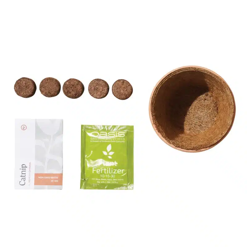 Curious Catnip Grow Kit - Image 3