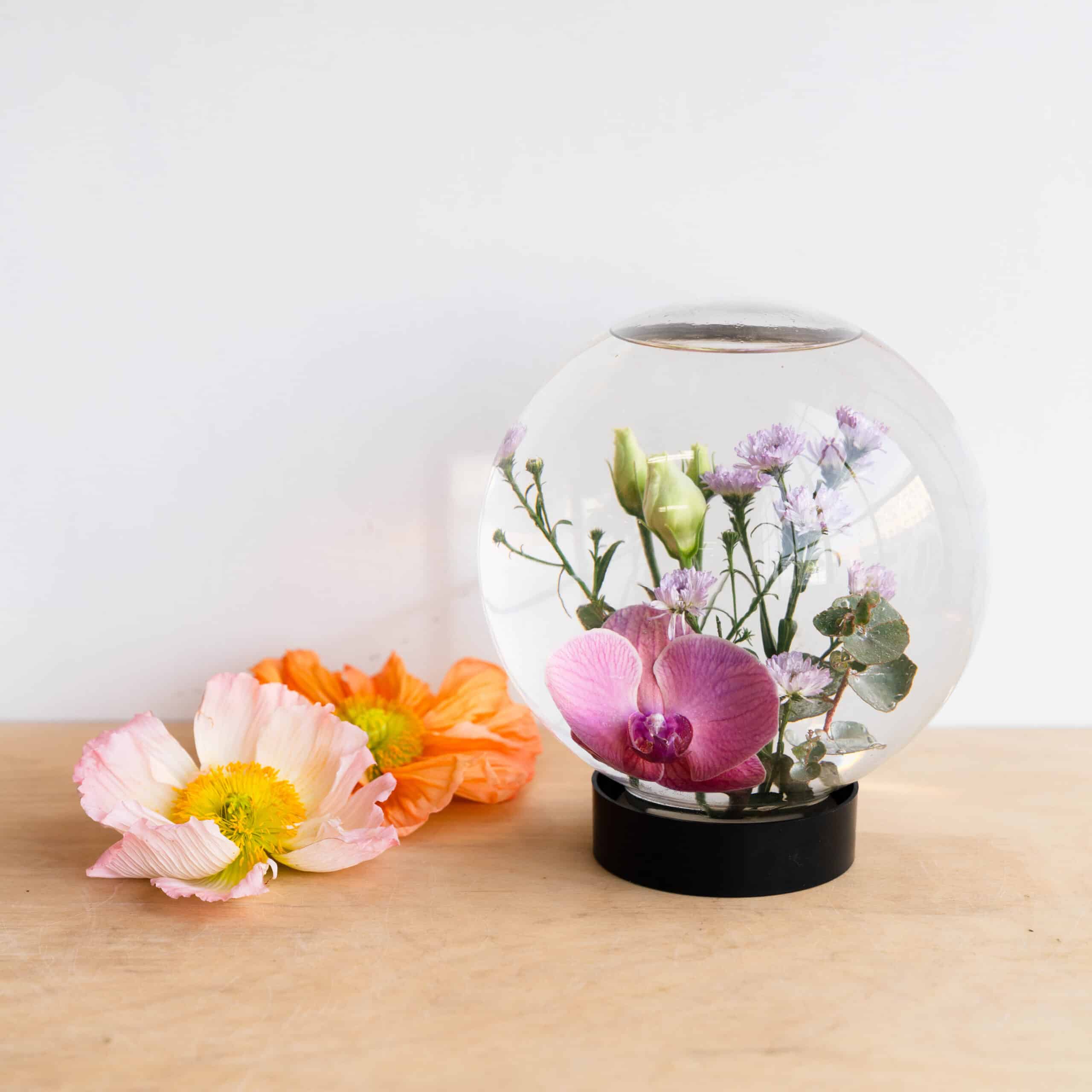 The Flower Aquarium - Image 3