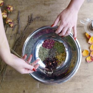 Plant Walk and Tea Tasting with Doll Herbalism