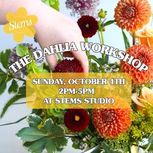 The Dahlia Workshop