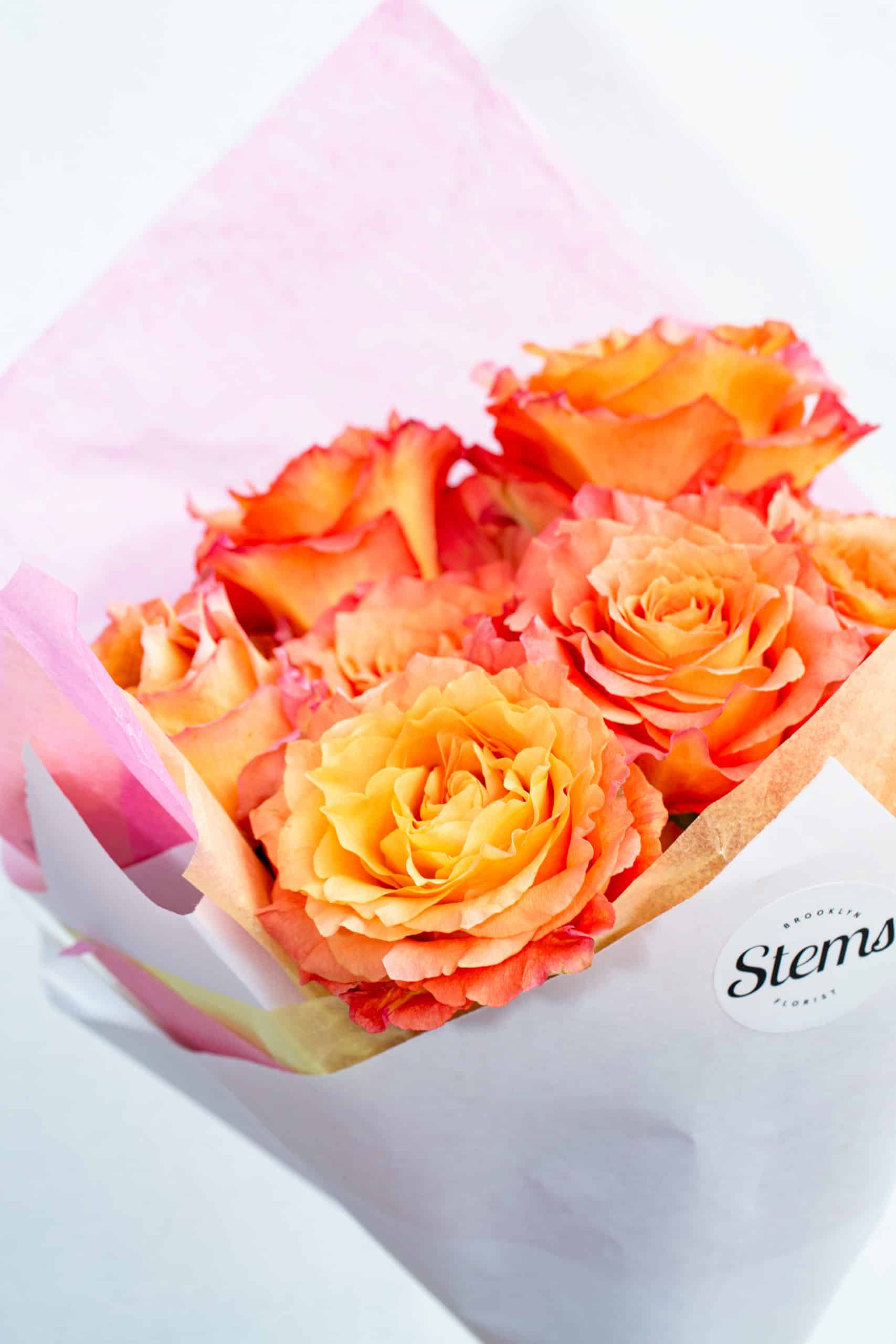 The Dozen Roses - Image 9