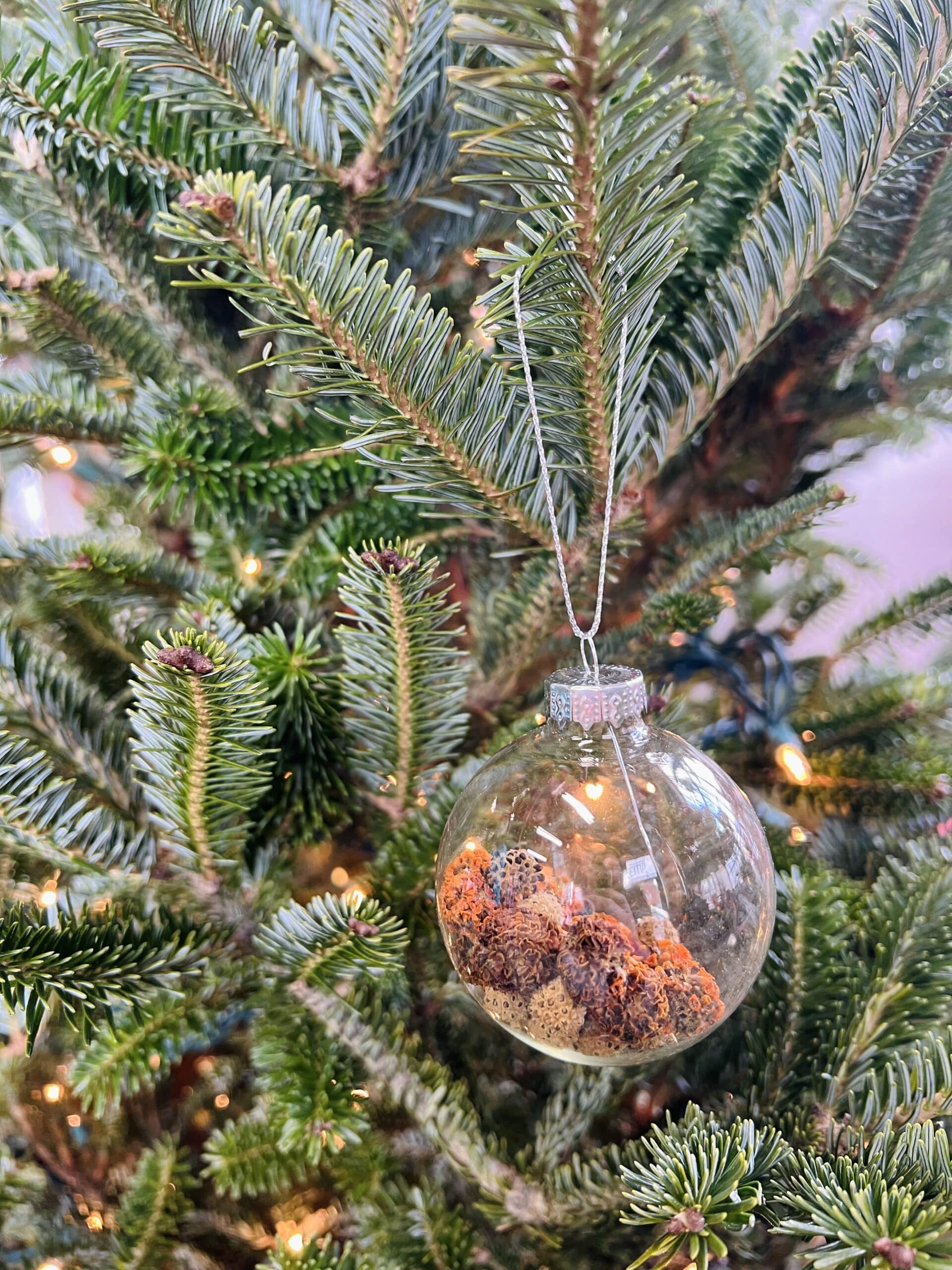 The Dried Wreath - Image 10