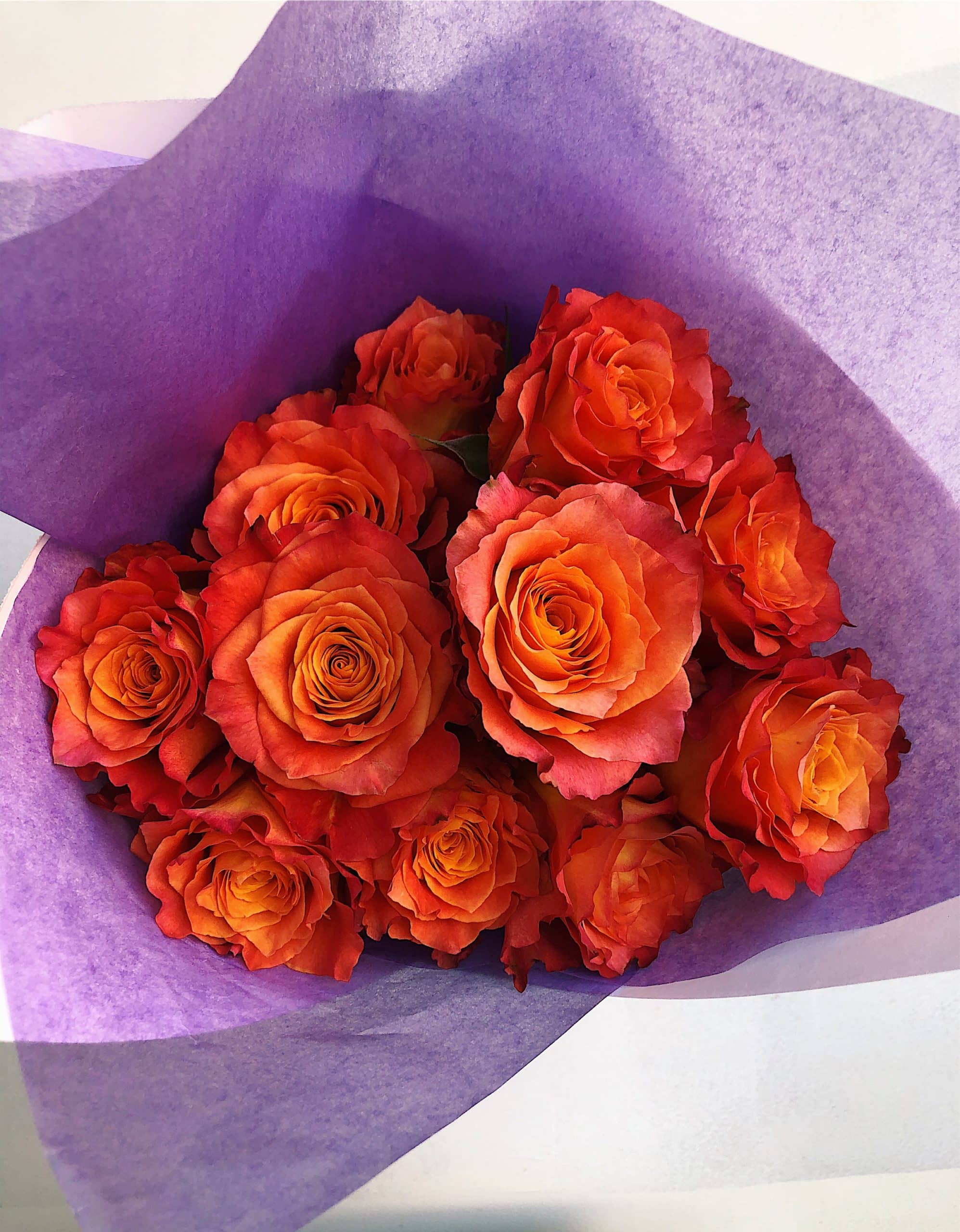 The Dozen Roses - Image 7