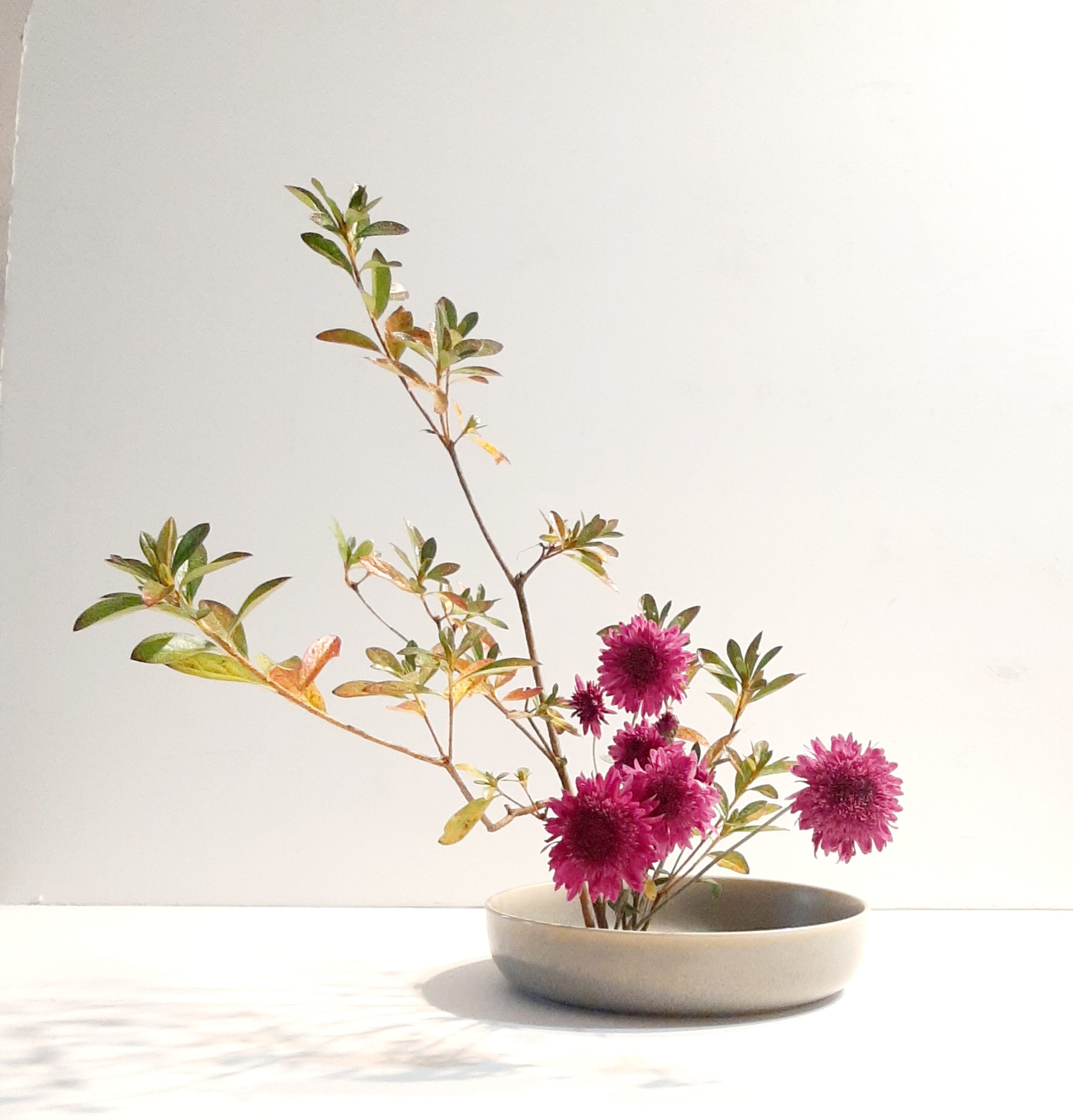 Intro to Ikebana