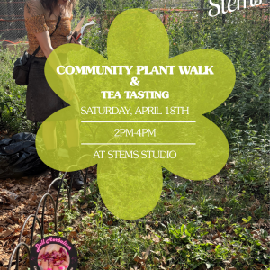 Plant Walk and Tea Tasting with Doll Herbalism